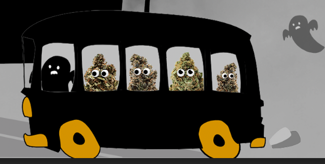 Cannabis on a bus