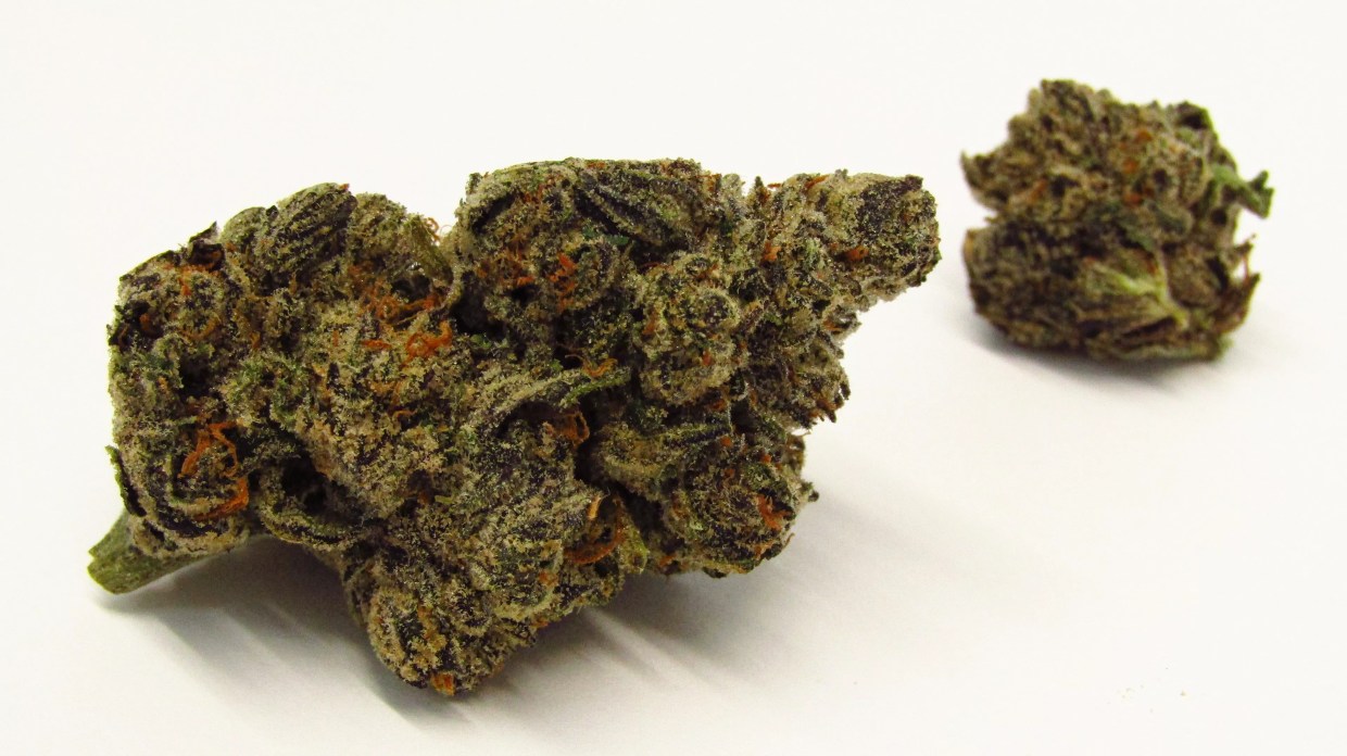 Red Bullz cannabis strain