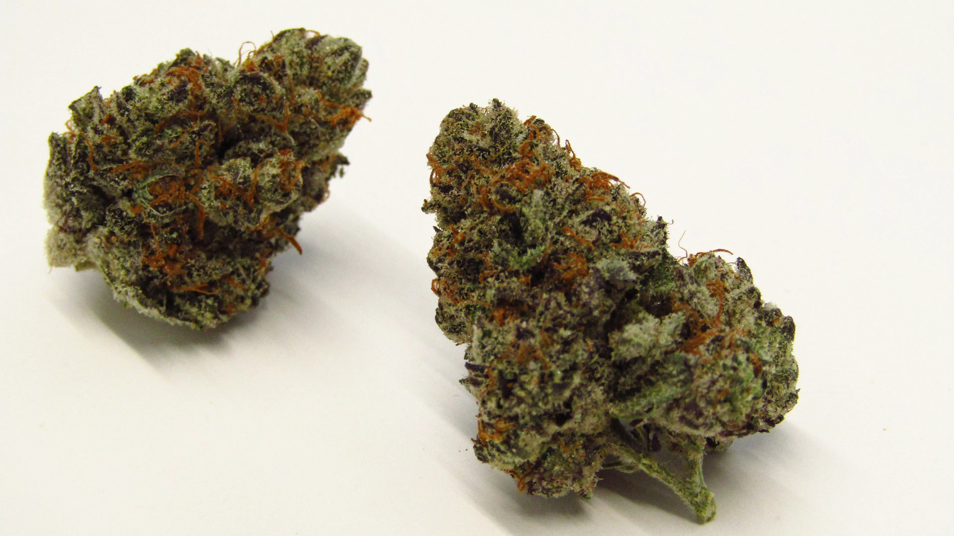 Green, dense cannabis buds with rusty hairs