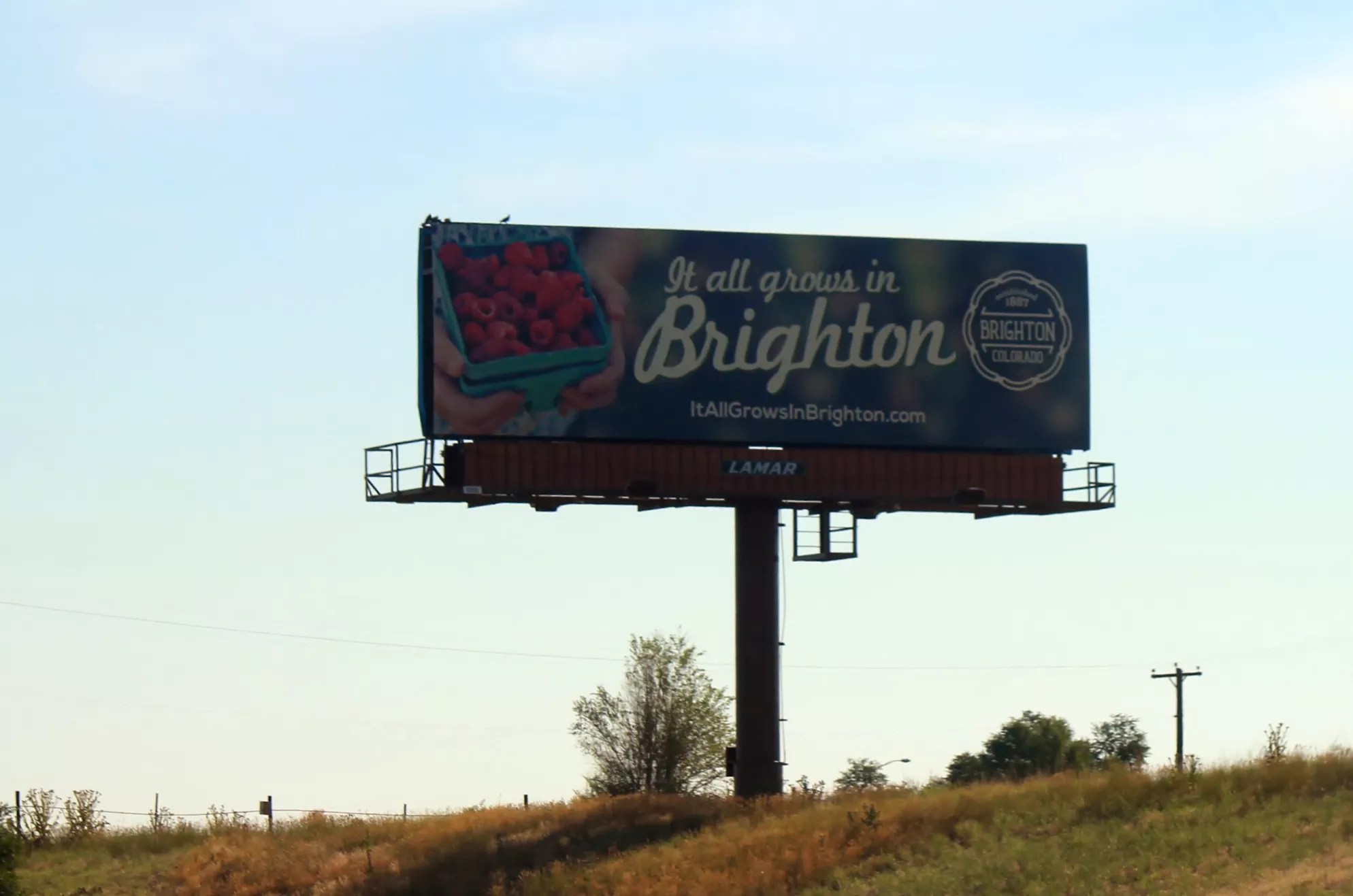 It All Grows in Brighton billboard in Colorado
