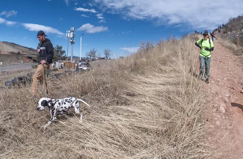 A man and a dalmatian search for a missing person along a ridge in Golden, Colorado.