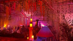 view of a dance floor with hanging plants