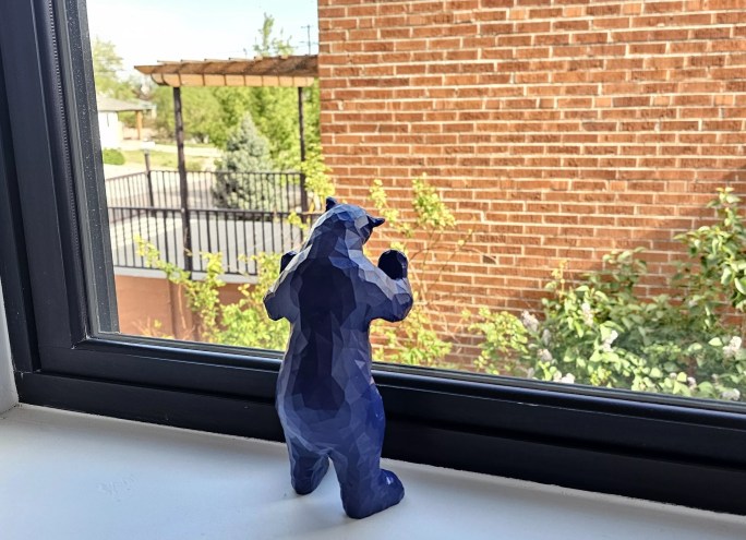 blue bear looking out window.