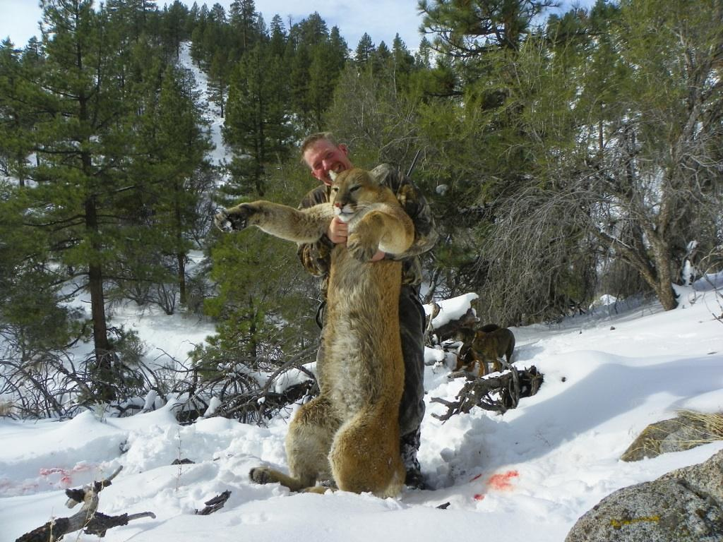 man holding dead mountain lion