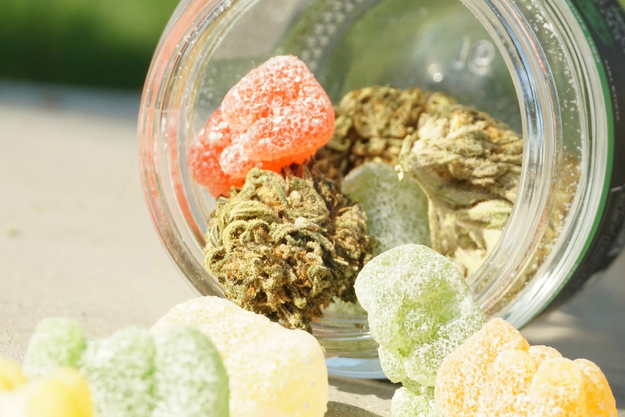 Cannabis flower and THC gummies