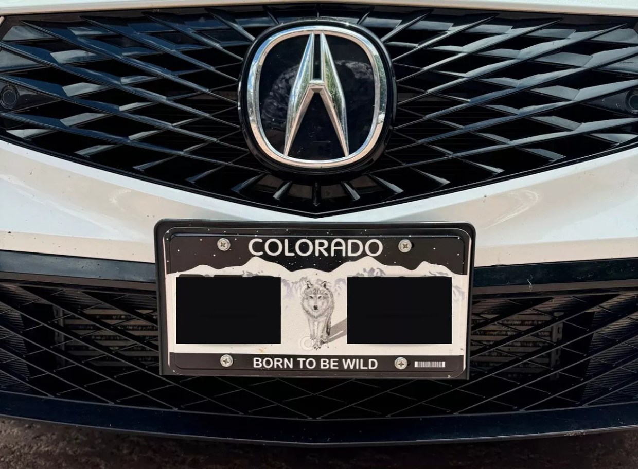 Colorado Born to Be Wild wolf license plate on acura
