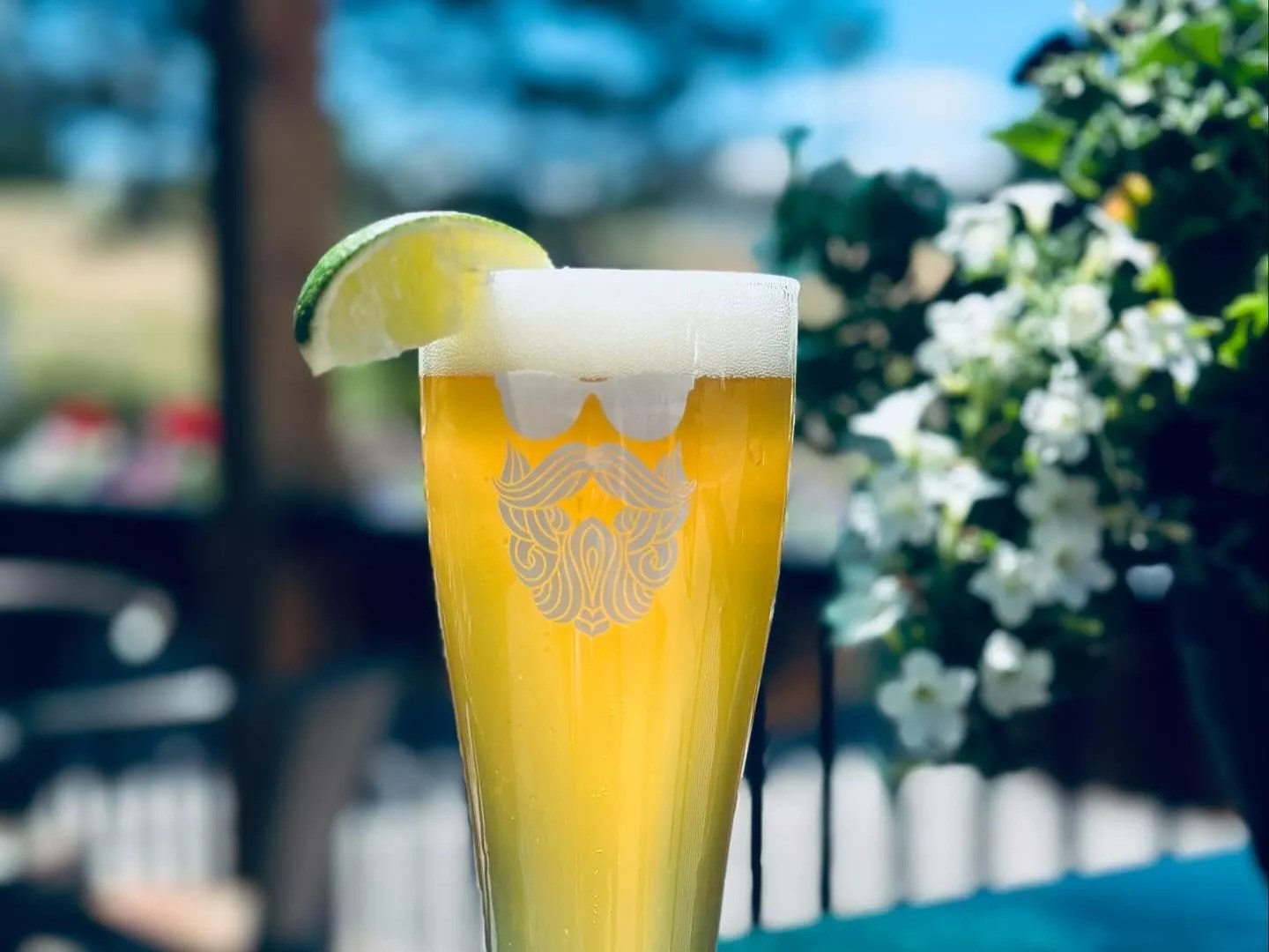 light beer in a glass with a lime slice