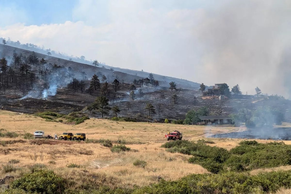 A grassland lies heavily half burnt around houses.