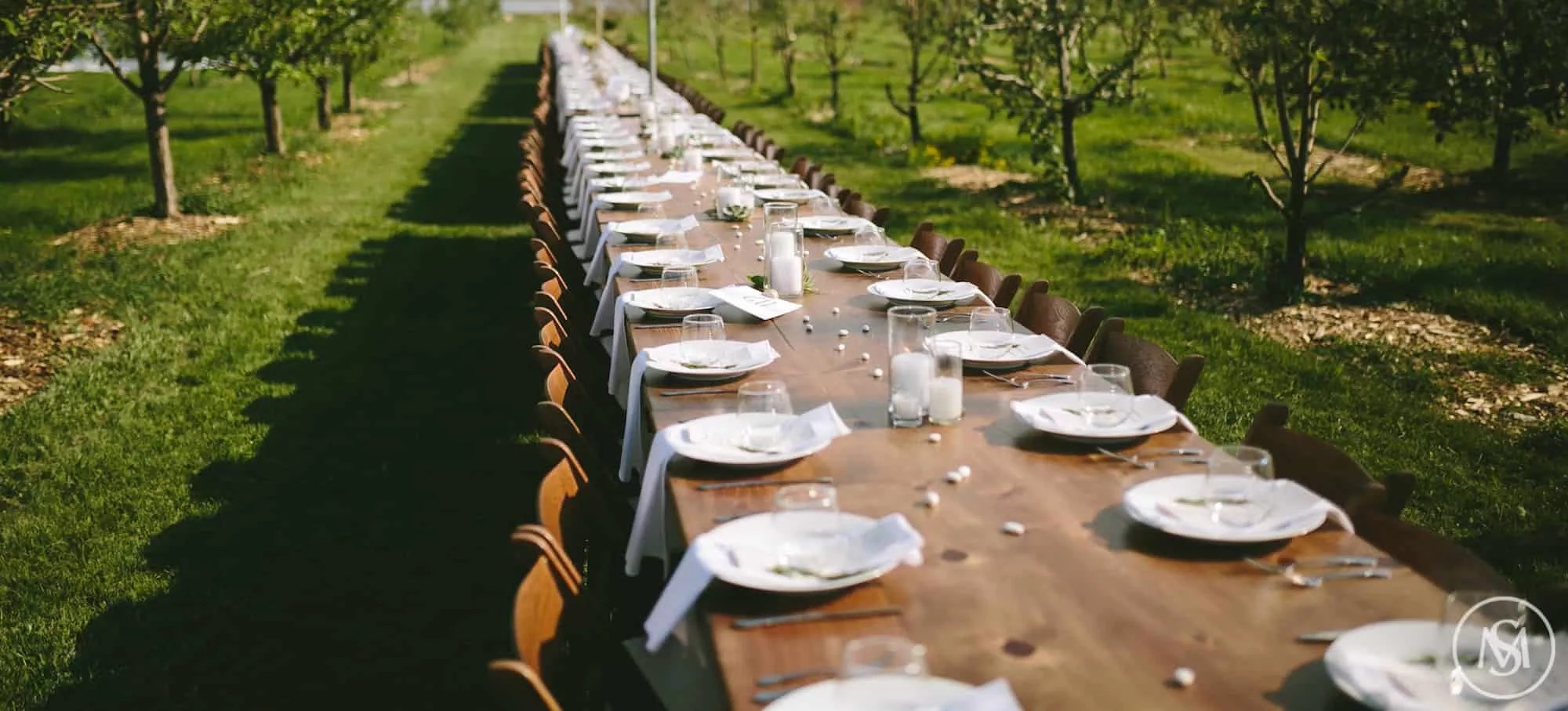 long table set with dishes