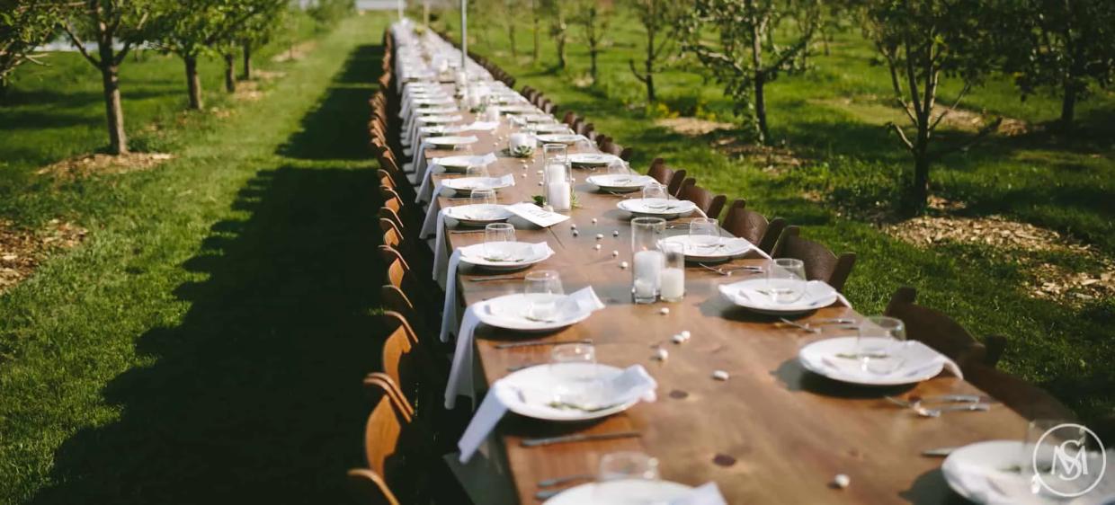 long table set with dishes
