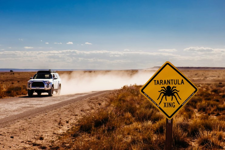 A Toyota 4Runner driving down a dirt road in La Junta, marked by a "tarantula crossing" sign