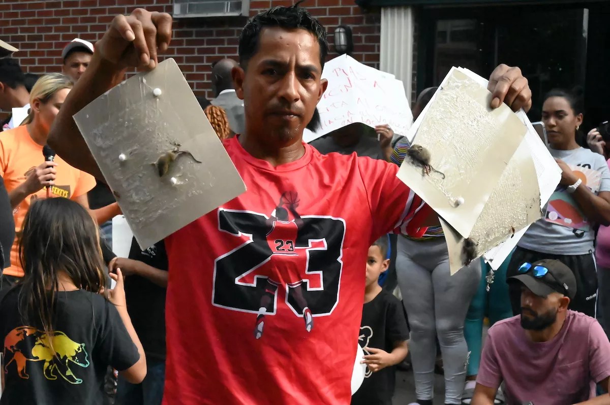 A man holds up two rat traps.