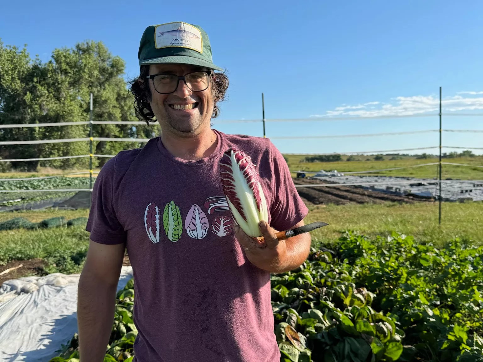 man holding radicchio in a garden
