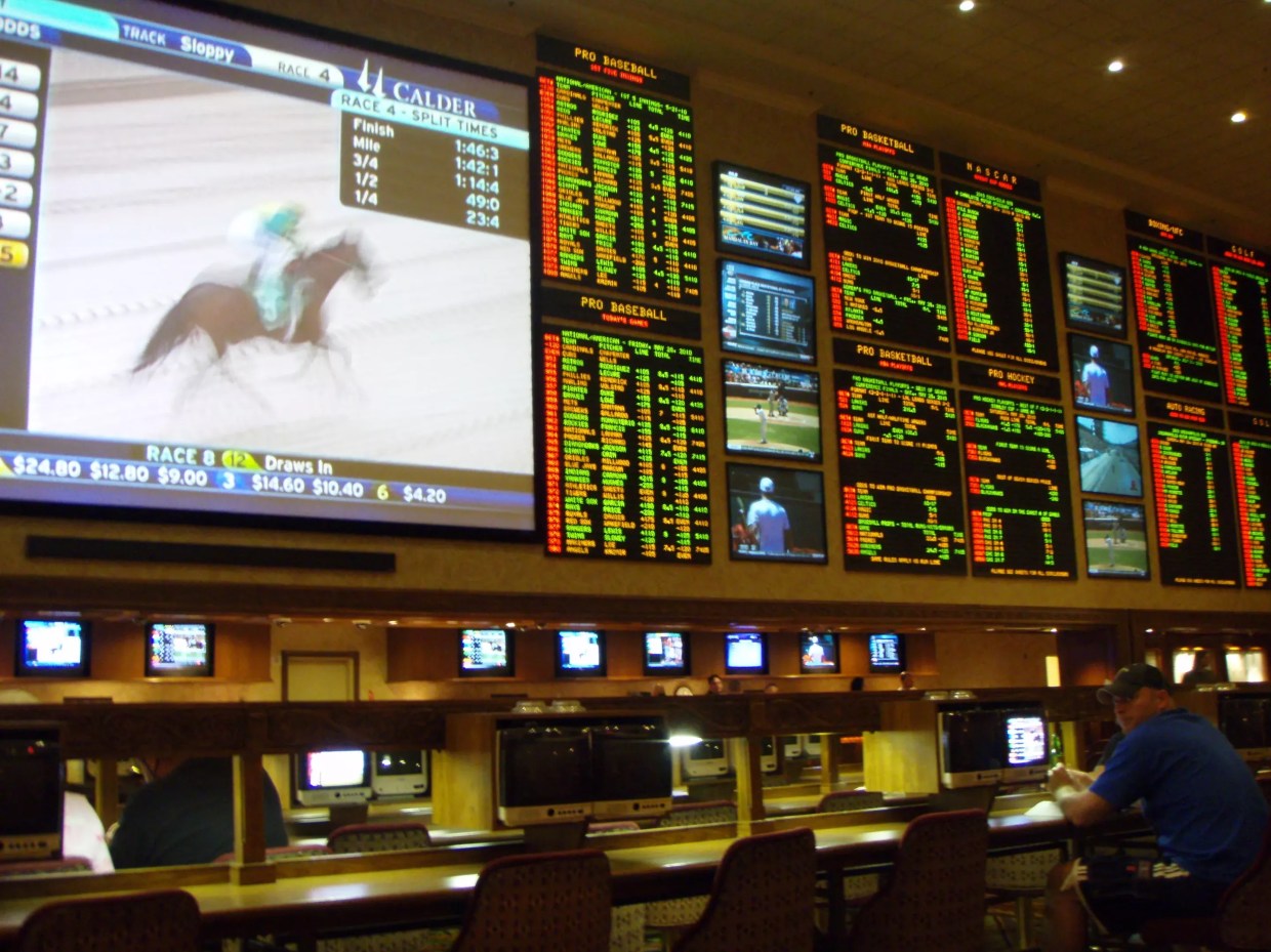casino sports book