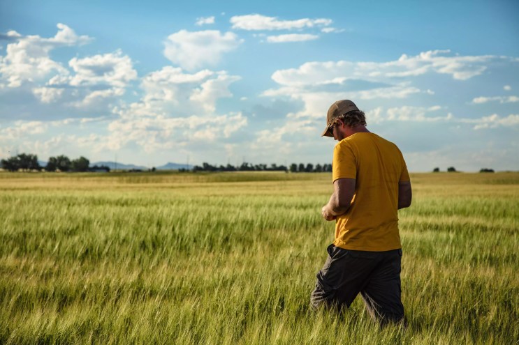 man in a field