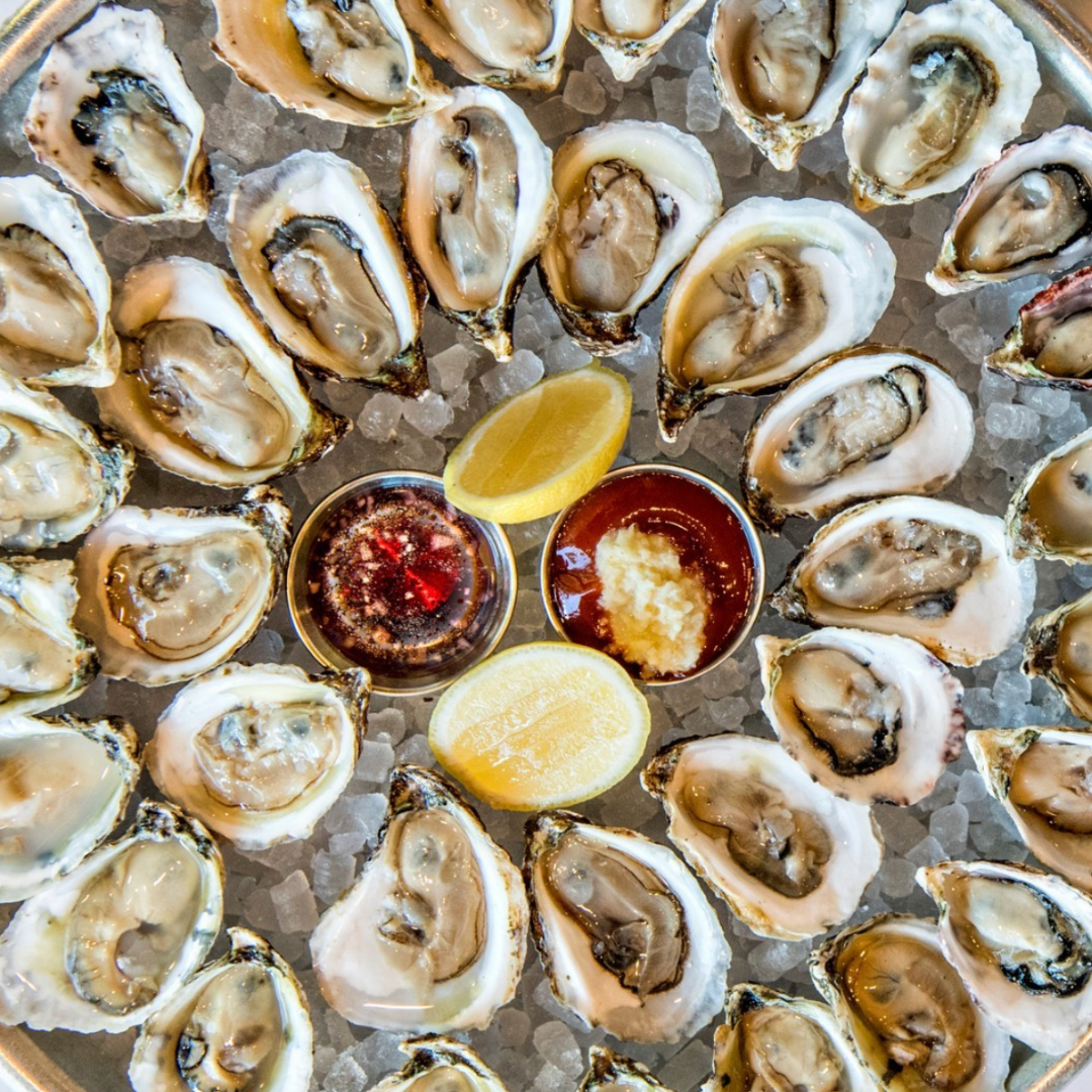 platter of oysters