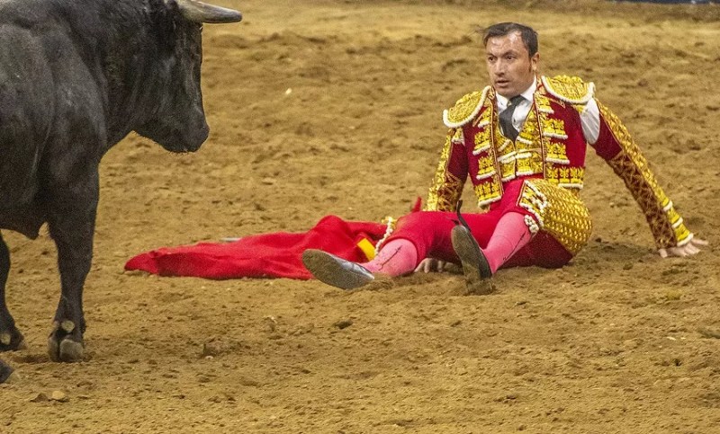 bullfighter n the cust