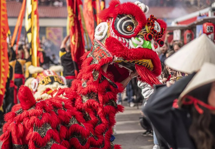 dancing chinese lion