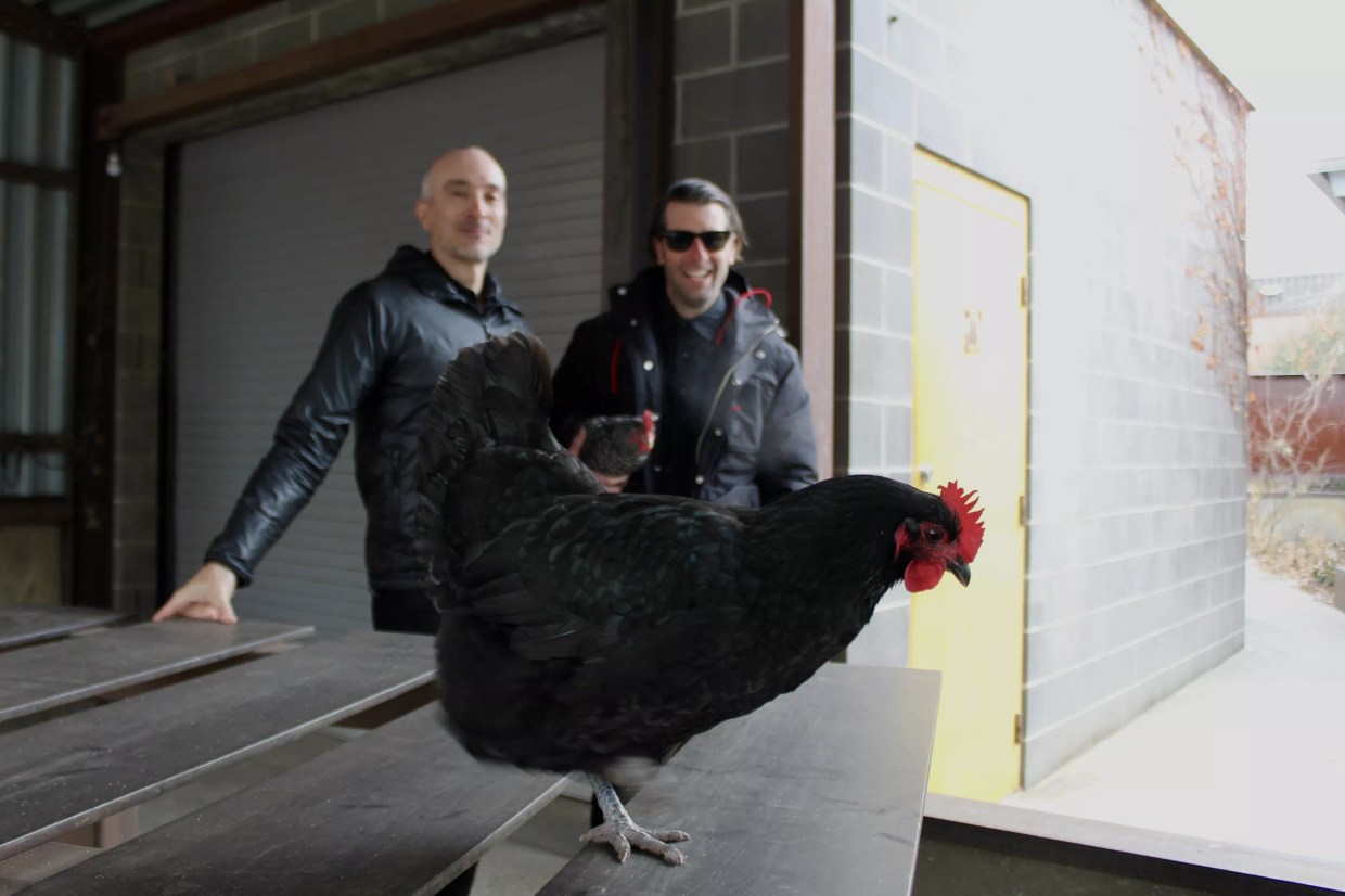 Two men stand behind a black chicken on a table