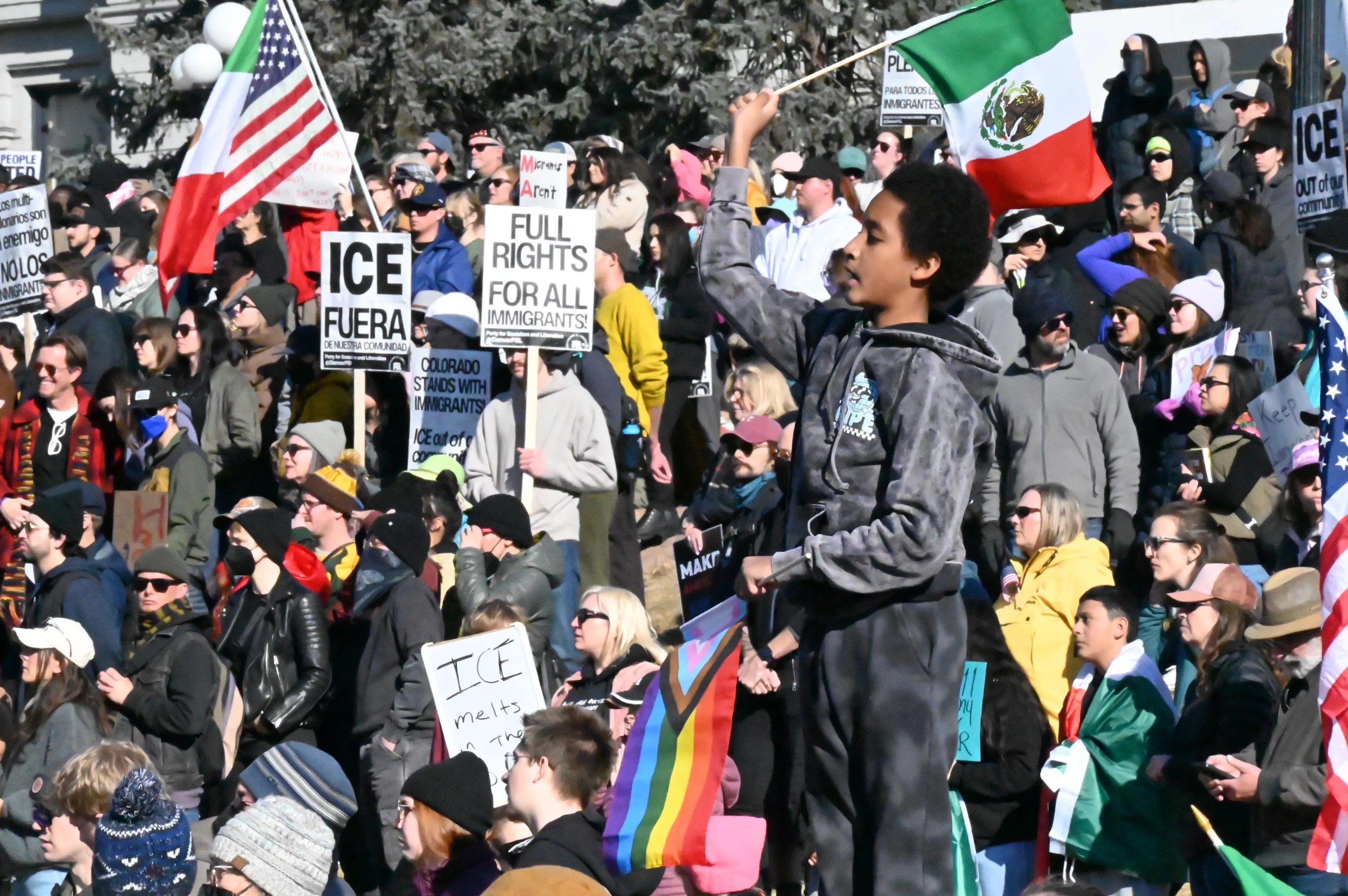 A boy waives a flag among protesters.