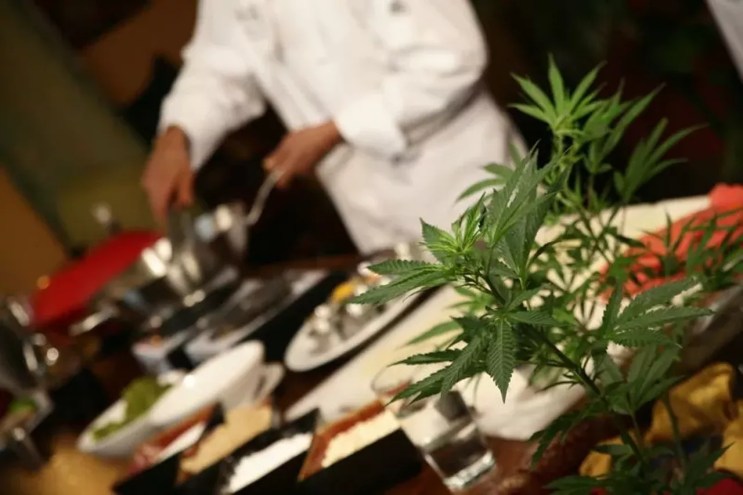 Cooking with marijuana