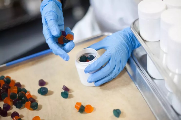 worker puts weed gummies in a bottle
