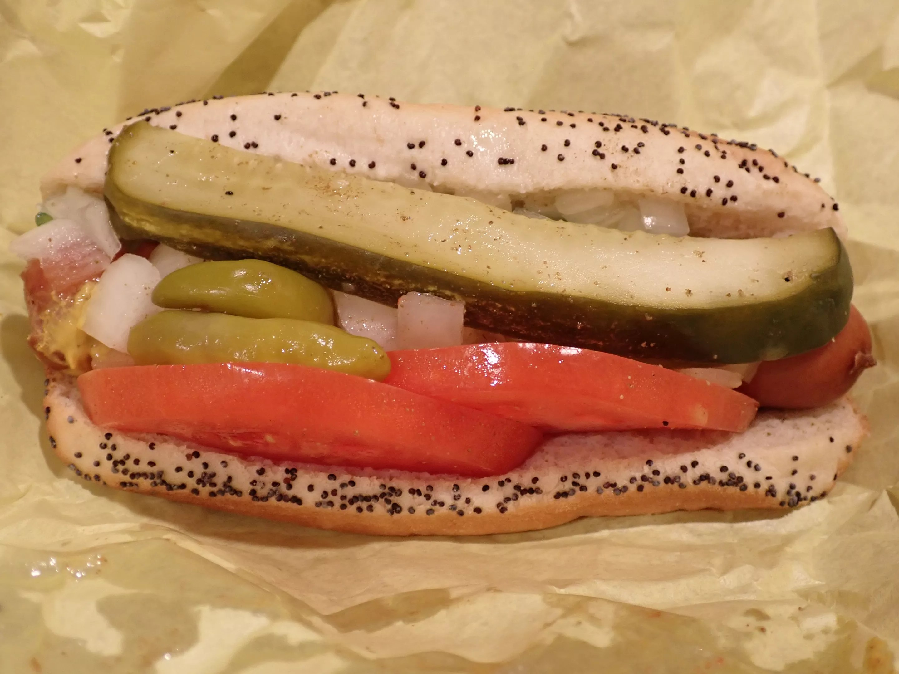 hot dog with everything