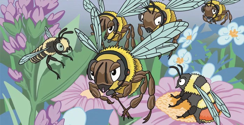 illustration of bee