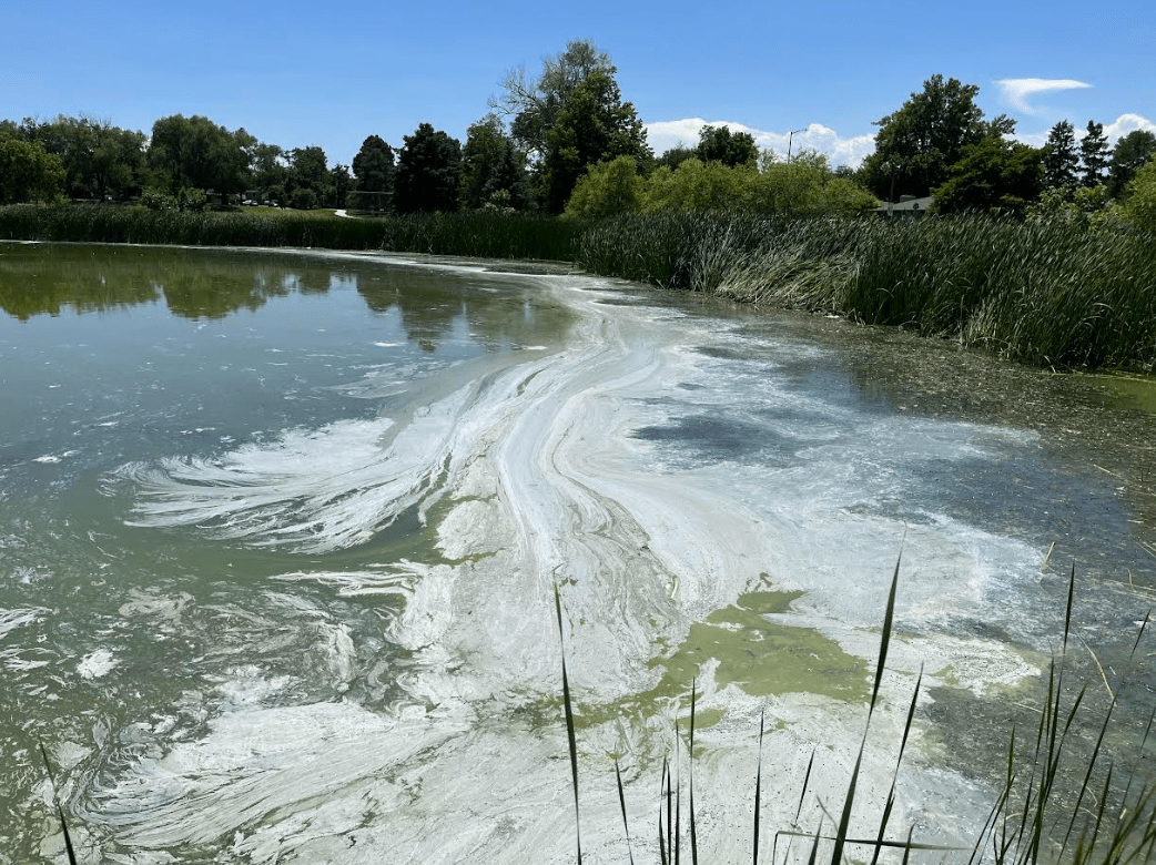 Meet the Man Defending You (and Your Dog) Against Toxic Algae at Denver Parks