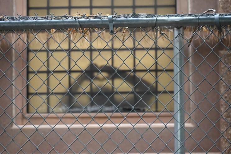 A man makes a heart.