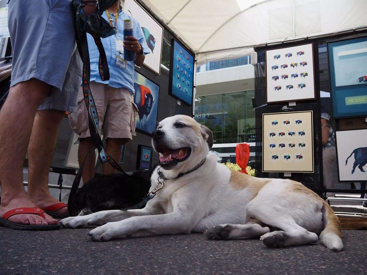 a panting dog lies in an art booth