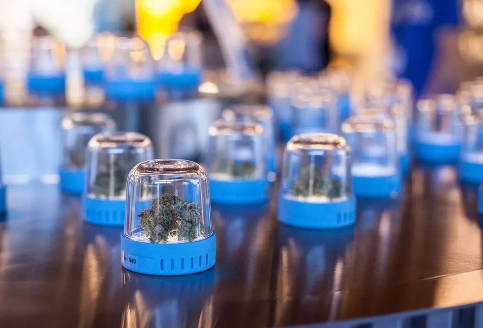 jarred marijuana samples at dispensary