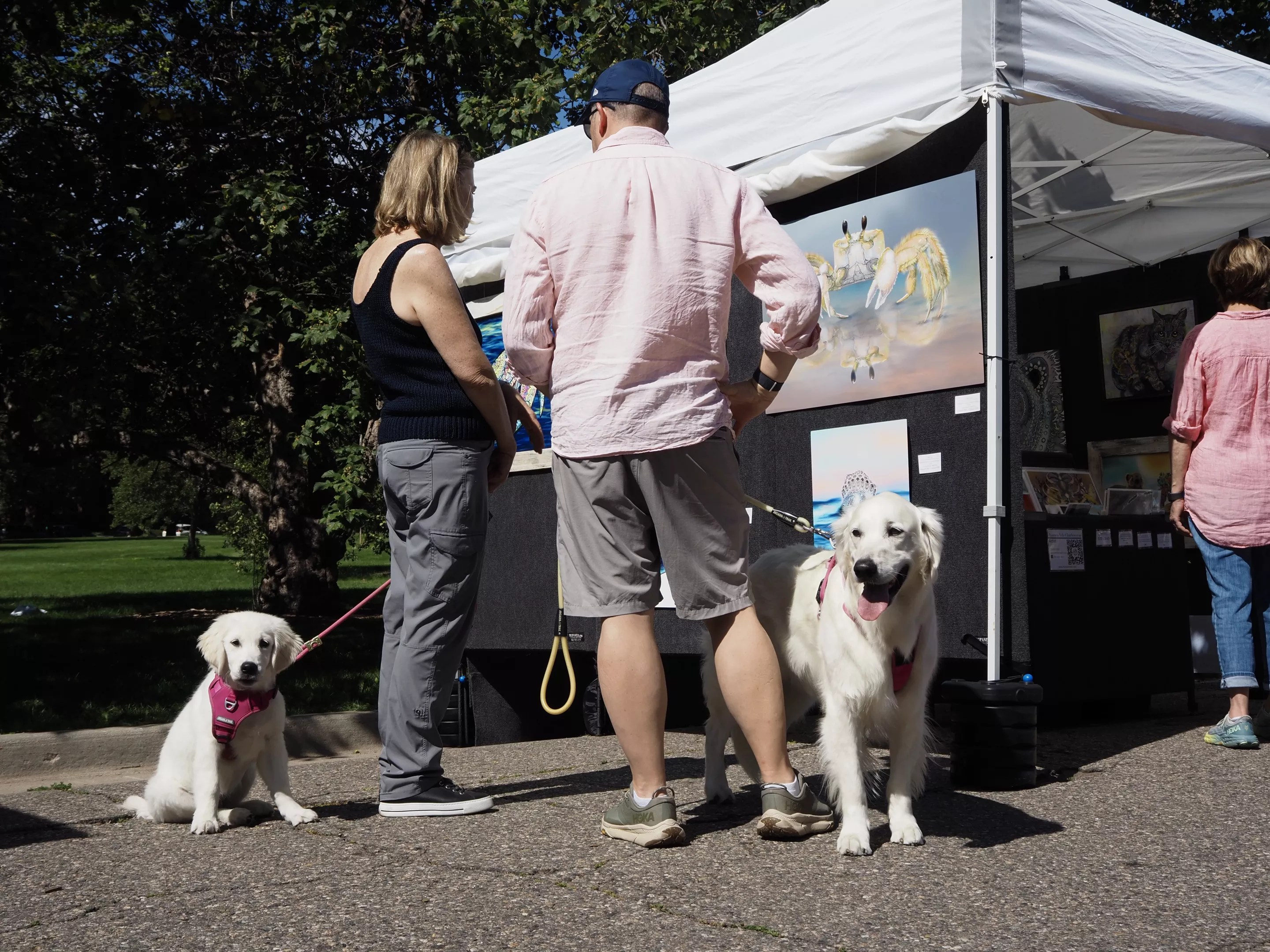 two dogs and their owners