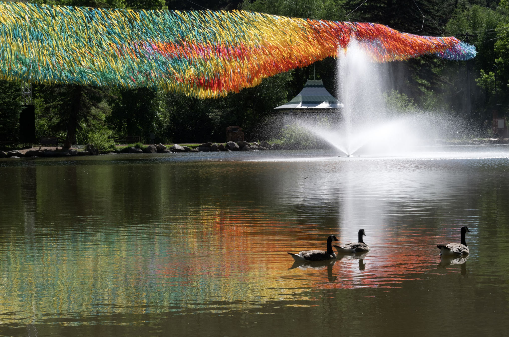 Colorful streamers hang over a body of water with ducks swimming