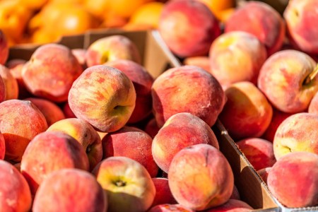 April Frost Leaves Some Colorado Orchards With a 'Total Loss'