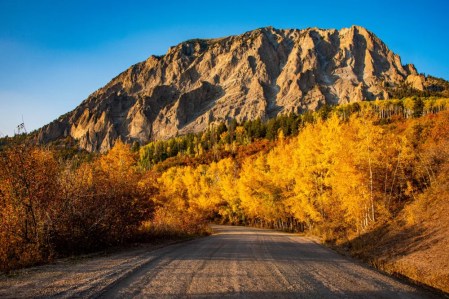 When and Where to See the Best Fall Leaves in Colorado